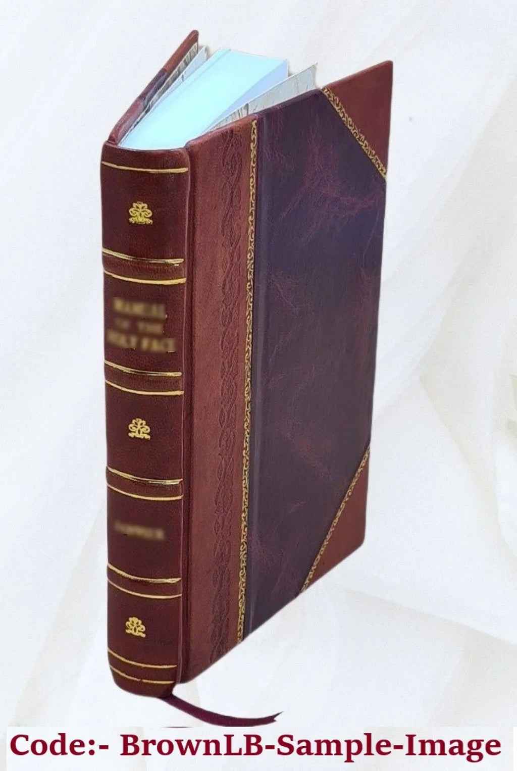 A ; ... Olai regnis metropolitanae Gothiae [Leather collecta in / Gothi Magno Boun ecclesiae Suetiae : Ioanne eius Gotho in Opera fratri Magni lucem et edita. Historia Vpsalen 1560