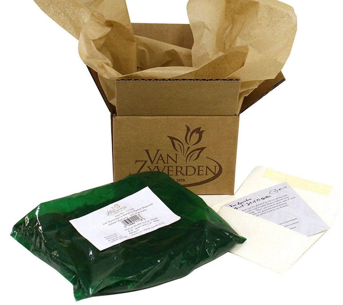 Jos 3 of Sun Set Pollinator Van Perennial Holly Full Eijking Sea 1 Zyverden Roots lb Blue Plant