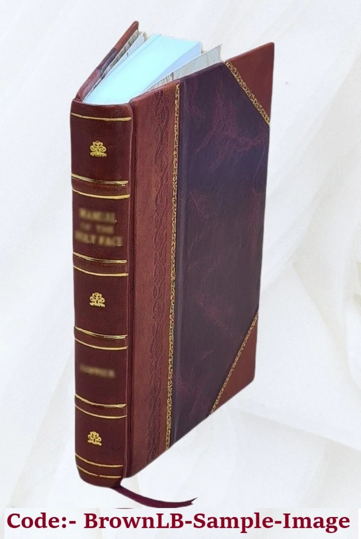 Bound] 1916 Bad Horse [Leather A Scorpion Good