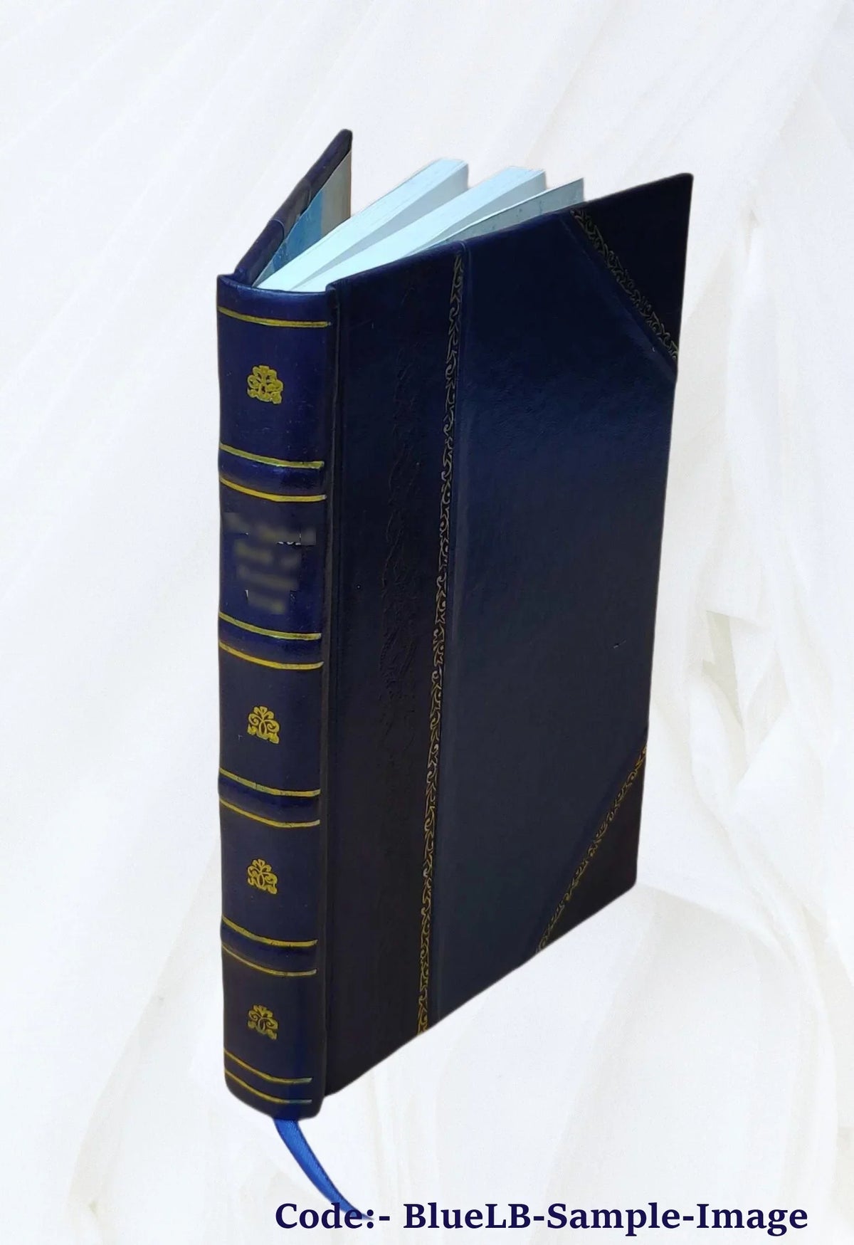 Bound] 1916 Bad Horse [Leather A Scorpion Good