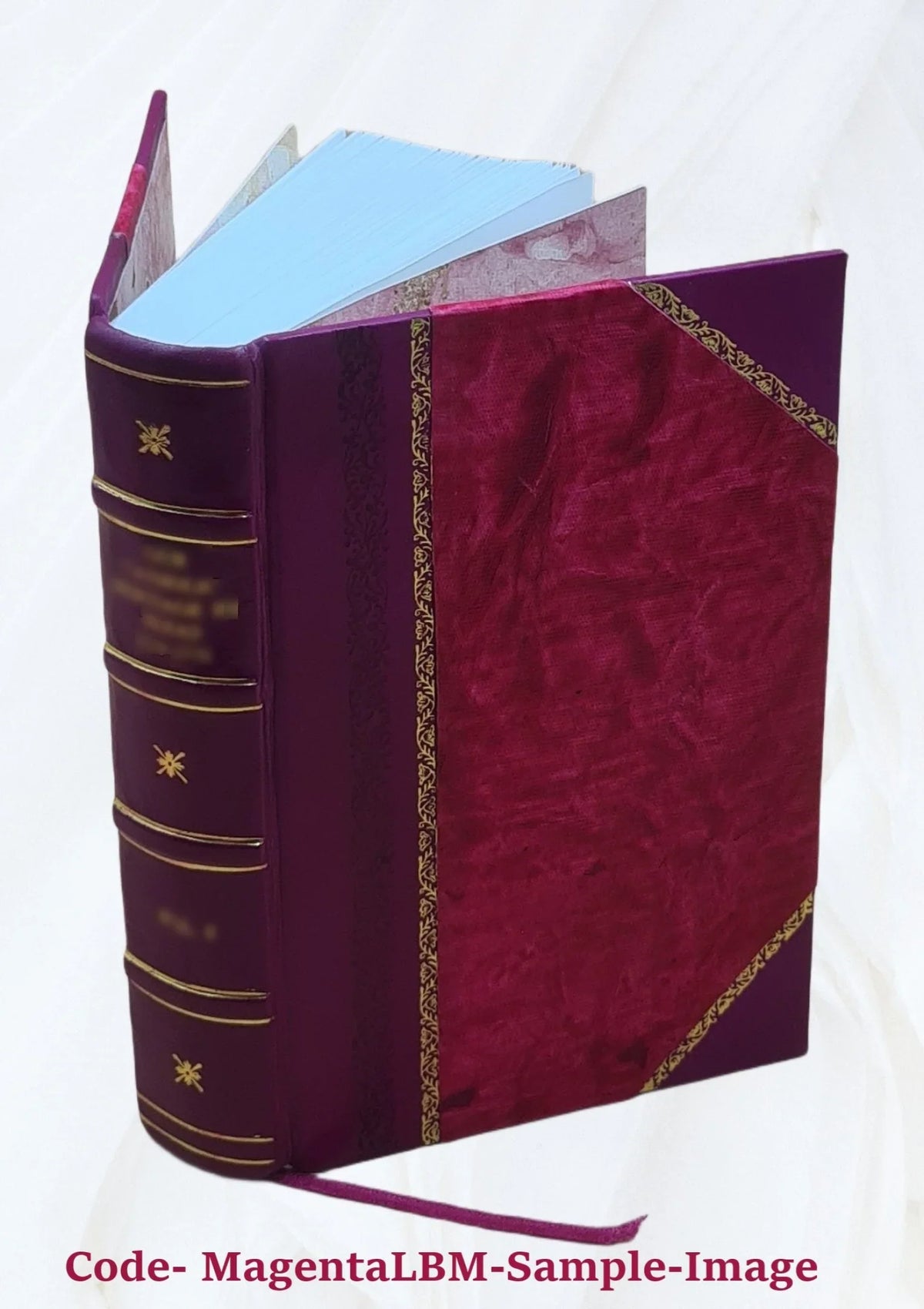 De 1569 claris doctis. tomis Ciceronis [Leather Lambini, Bound] distinctis. De annotationibus libri oratoribus. Vol. Dionysii Cum 1. uiri oratore 3. singulis Orator,