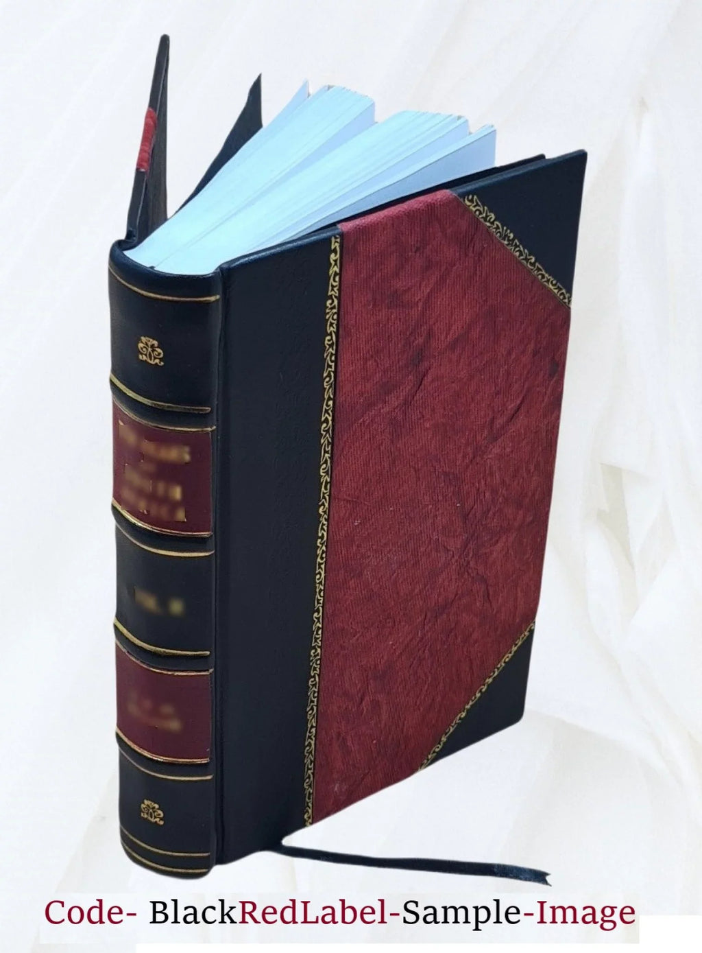 Bound] 1916 Bad Horse [Leather A Scorpion Good