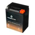 Battery Arctic Battery for YTX14AHL-BS Snowmobile Ah, (14AHL-BS Chrome 1993 CCA) Volt,12 Cat Cougar 12 210