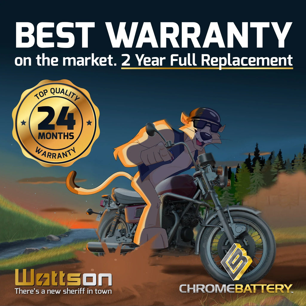 Battery Arctic Battery for YTX14AHL-BS Snowmobile Ah, (14AHL-BS Chrome 1993 CCA) Volt,12 Cat Cougar 12 210