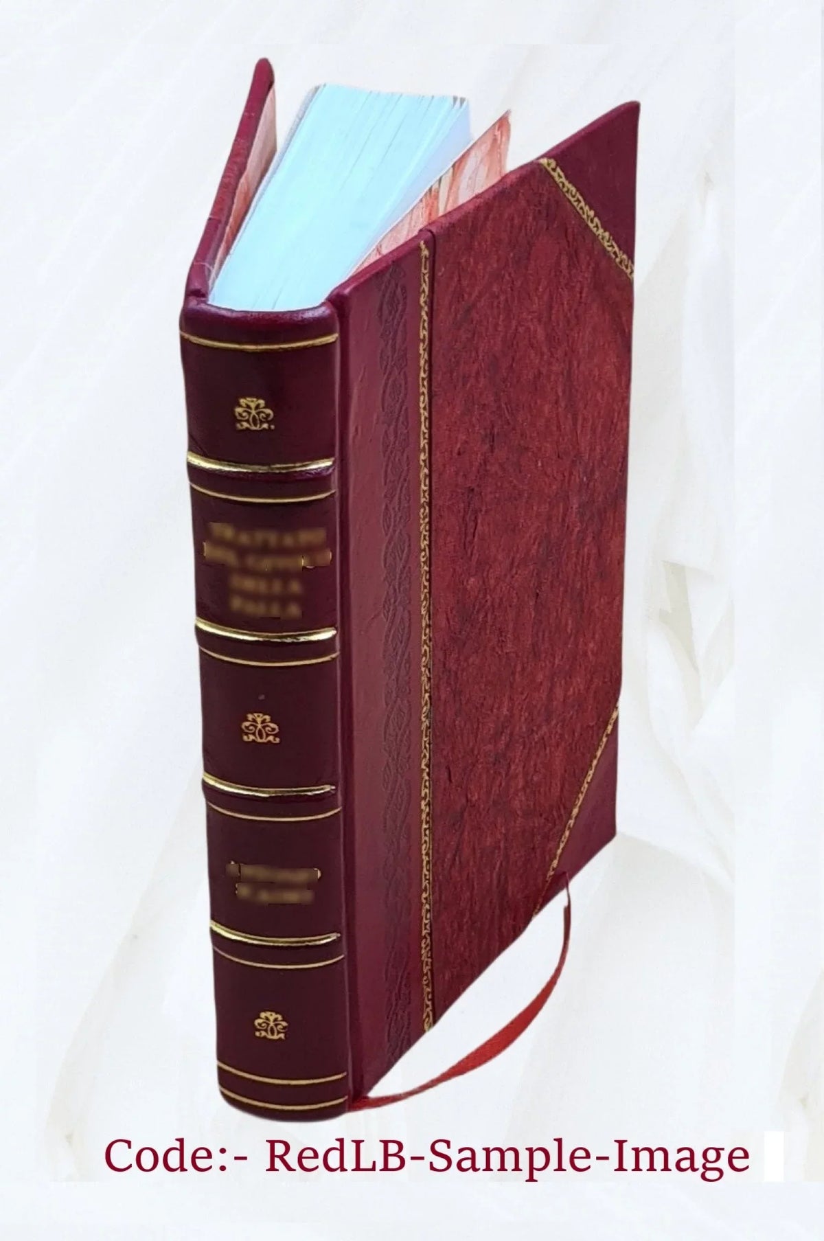 Bound] 1916 Bad Horse [Leather A Scorpion Good