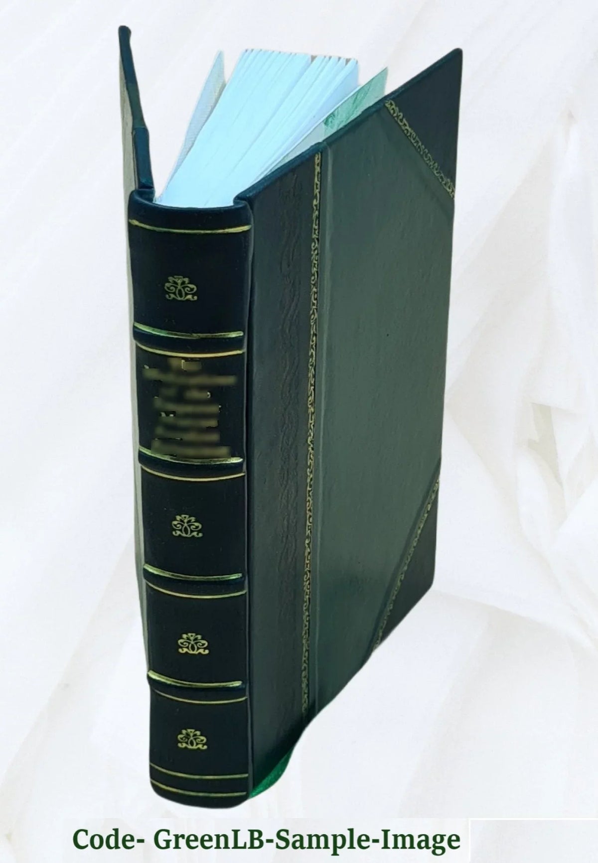 Bound] 1916 Bad Horse [Leather A Scorpion Good